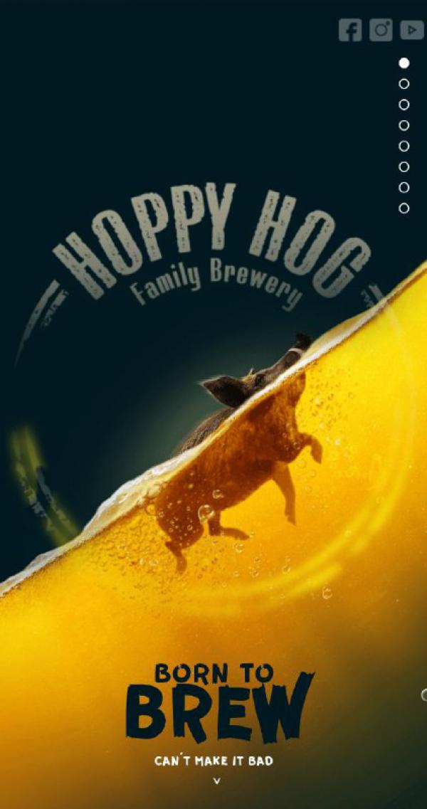 Hoppy Hog Family Brewery example picture